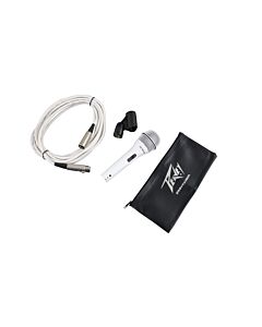 Peavey PVi 2W