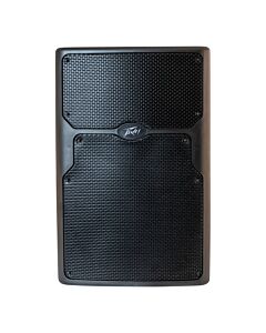 PEAVEY PVX P 15