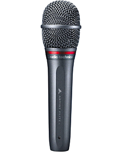 Audio-Technica - AE6100